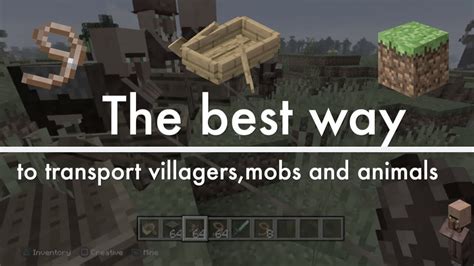 best way to move villagers|2 FAST & EASY WAYS to Transport Villagers Long .
